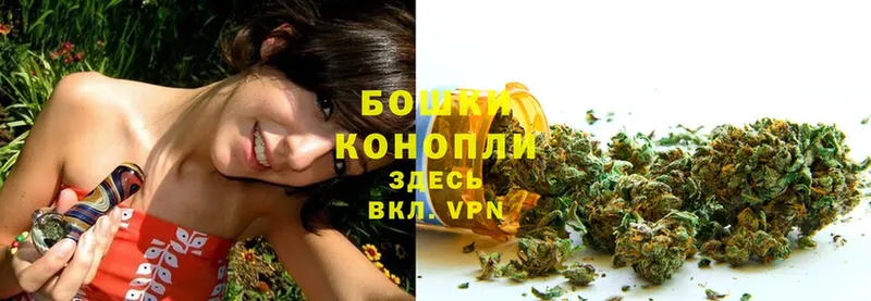 Бошки марихуана марихуана  это состав  Владивосток 